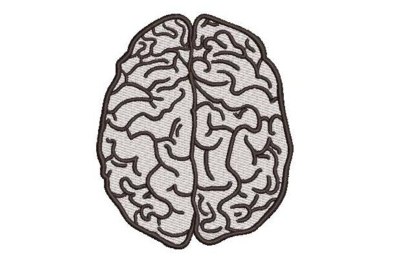 Human Brain Line Art: A Seasonal Embroidery Review