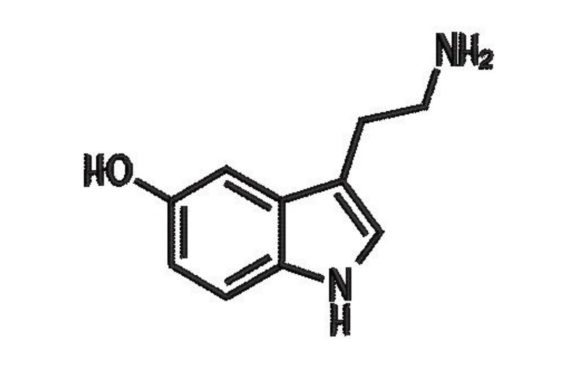 Serotonin Chemistry Symbol Embroidery Design Review